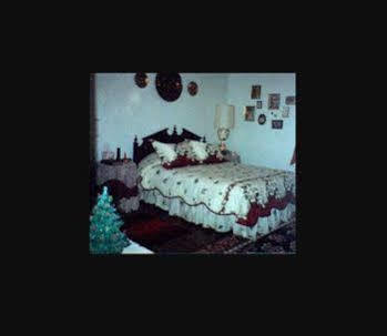 The Twin Magnolias Bed & Breakfast Роанок-Рапидс Экстерьер фото